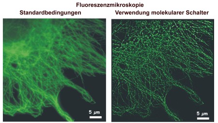 Cytoskeleton of a fixed cell. Left: Fluorescence image at standard conditions. Right: dSTORM image using molecular switches.