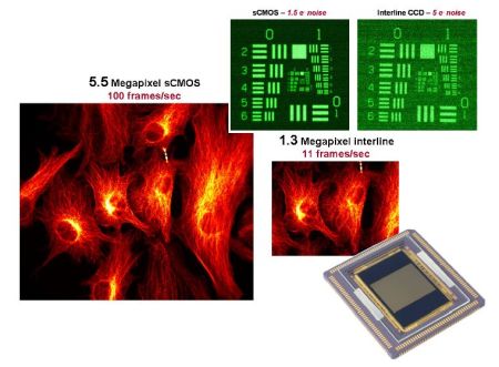 Scientific CMOS Technology-A High-Performance Imaging Breakthrough