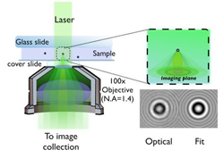 In the microscope, a laser beam illuminates the sample. Light scattered by the sample creates an interference pattern which is magnified and recorded. Then measurements of the particle’s position, size, and refractive index are obtained.